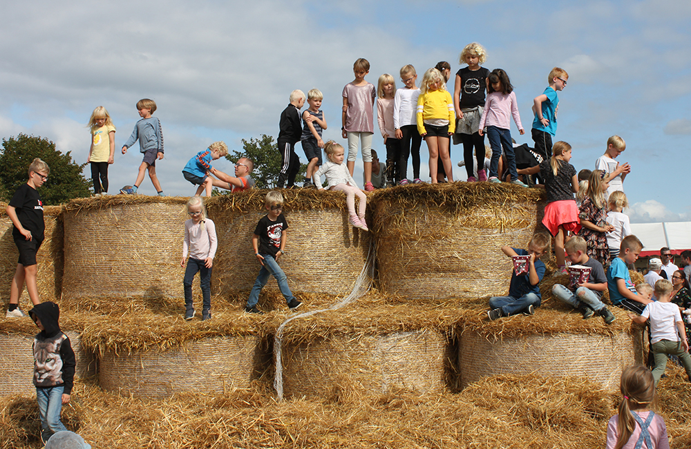 Naturmælk er klar til høstfest – Tinglev